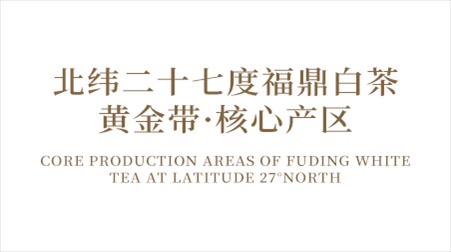 文字01.jpg