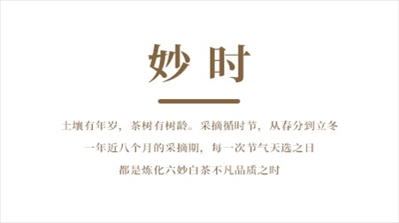 文字02.jpg