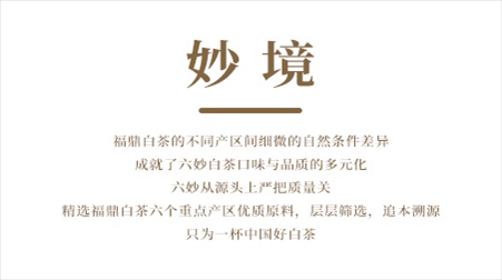 文字03.jpg