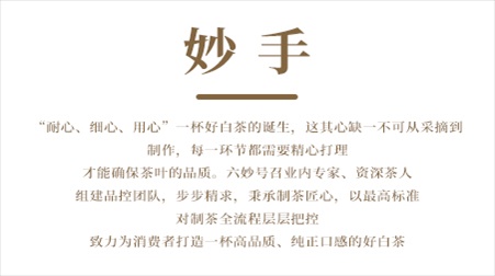 文字04.jpg