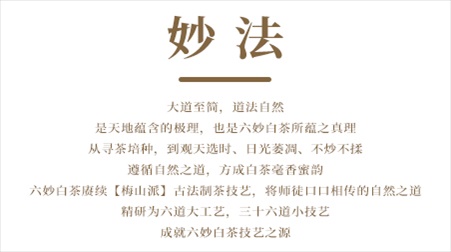 文字05.jpg