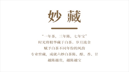 文字06.jpg